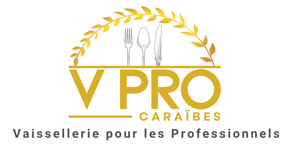Logo Bannière Mobile V Pro Caraibes_2_fond transparent